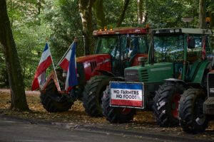 The European Commission has denied reports it pressured the Dutch government into shutting farms down in service of the bloc's environmental goals. (Photo by Pierre Crom/Getty Images)