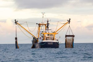 There are no engines currently in existence that can avail of the EU's new green energy scheme for fishing boats, an MEP has claimed. (EPA/VICKIE FLORES)