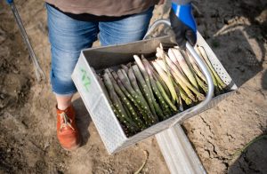 The European Commission has defended claims that German supermarket chains bare some responsibility for alleged abuses of migrant workers in the country. (Photo by Daniel Kopatsch/Getty Images)