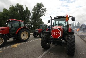 The European Parliament has opted to side with local farmers regarding issues to do with Ukrainian agricultural trade. (Photo by Michele Tantussi/Getty Images)