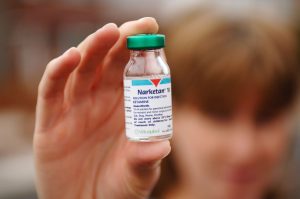 Belgium’s wastewater has revealed a rise in ketamine use, with levels now up to eleven times higher than a decade ago. (Photo by Henry Iddon/PYMCA/Avalon/Getty Images)